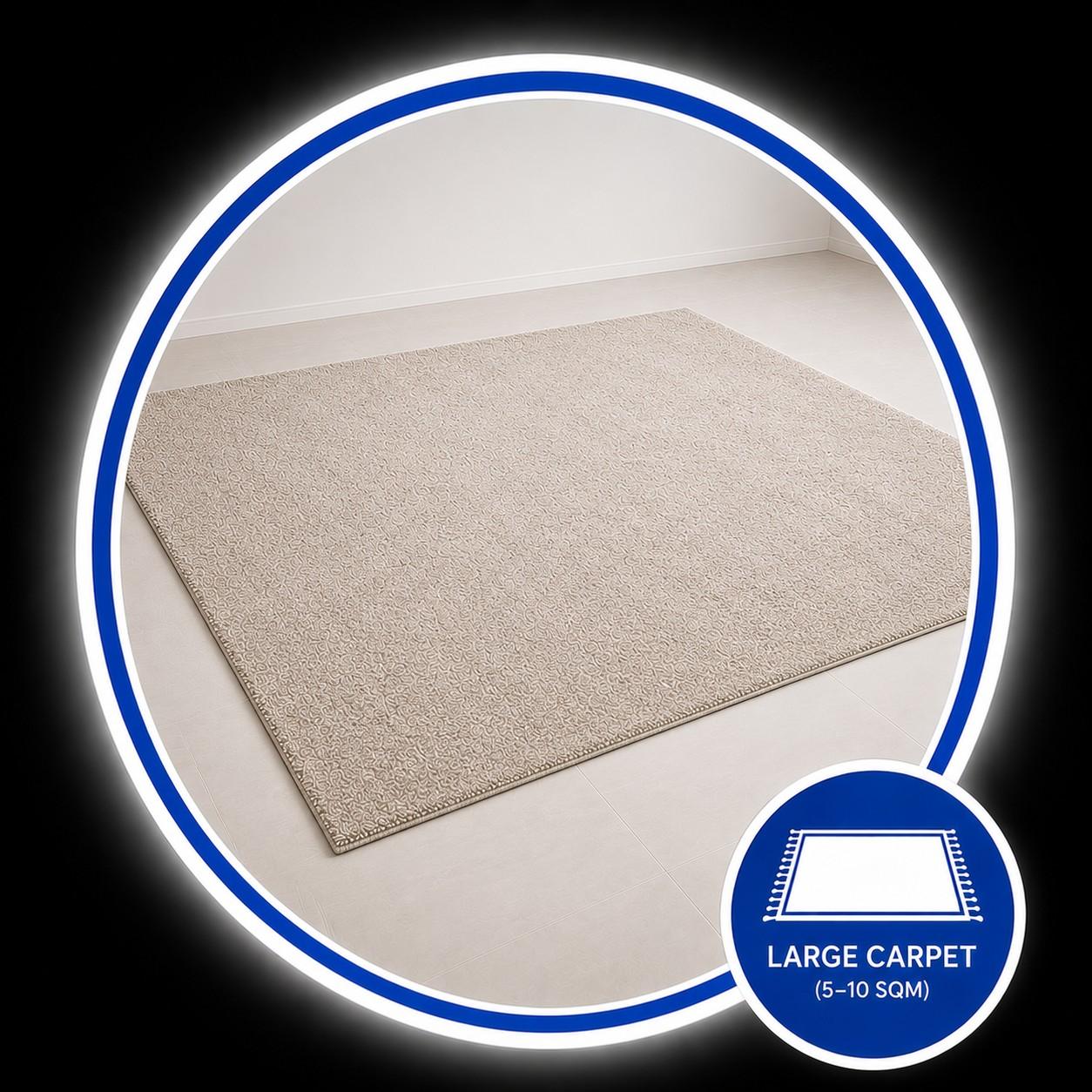 Large Carpet (5–10 sqm)